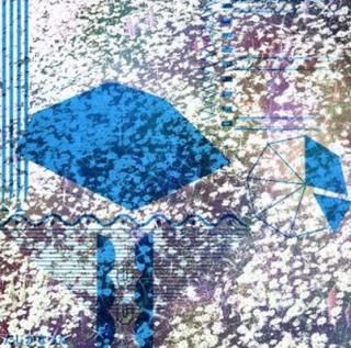 šۤʤ(DVD)