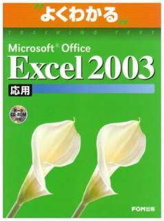 šMicrosoft Office Excel 2003 (褯狼ȥ졼˥󥰥ƥ)