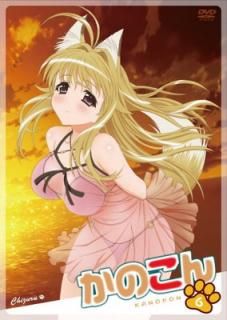šۤΤ 6ڽǡ [DVD]
