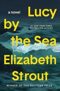šLucy by the Sea: A Novel