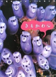 šۤ⤫勞 Ի׵ĤǤ襤ʪ