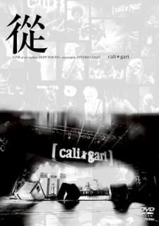 š [DVD]