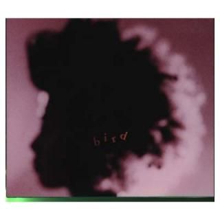šBird