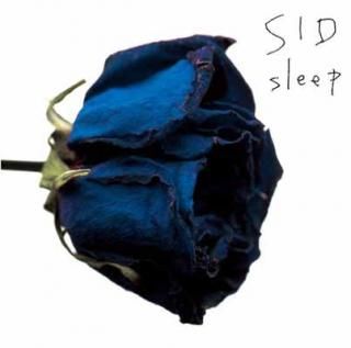 šsleep