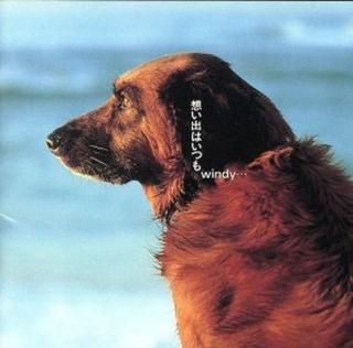 šۤФϤĤwindy
