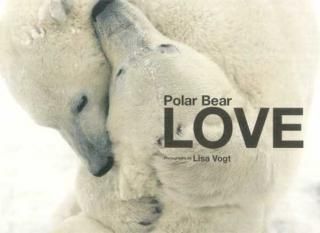 šPolar bear love