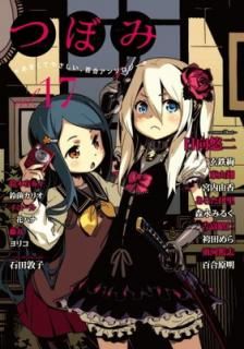 šۤĤܤ VOL.17 (ޤ󤬥KRߥå GL꡼)