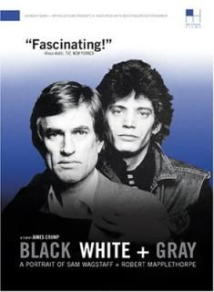 šBlack White & Gray [DVD]