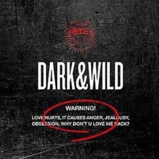 š1 - Dark&Wild(ڹ)