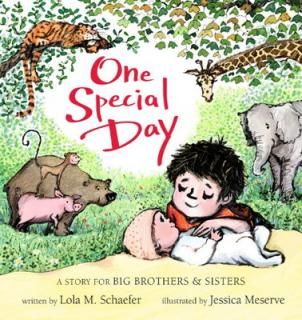 šOne Special Day (A Story for Big Brothers and Sisters, 1)