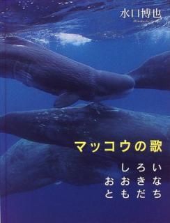 šۥޥåβ