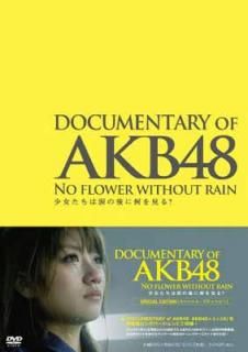 šDOCUMENTARY OF AKB48 NO FLOWER WITHOUT RAIN ޤθ˲򸫤? ڥ롦ǥ(DVD2)
