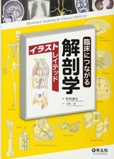 š׾ˤĤʤ˶إ饹ȥ쥤ƥå