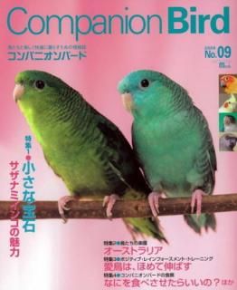 šۥѥ˥-: ĻȳڤŬ餹ξ (no.09) (SEIBUNDO Mook)