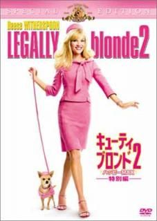 šۥ塼ƥ֥2/ϥåԡMAXԡ [DVD]