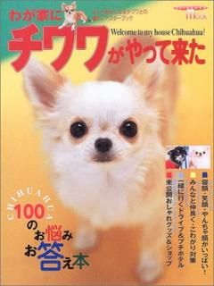 šۤ郎Ȥ˥郎ä褿: 100ΤǺߤ (SEIBUNDO Mook)