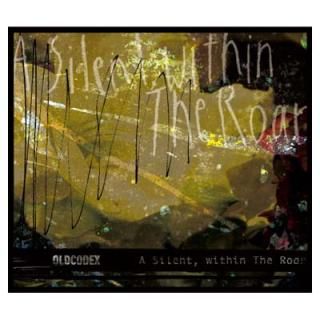 šA Silent,within The Roar()(DVD)