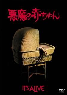 š۰֤ [DVD]