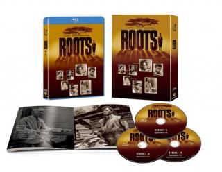 šۥ롼 ֥롼쥤ץ꡼BOX(3) [Blu-ray]