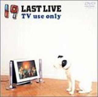 š19 LAST LIVE TV use only [DVD]