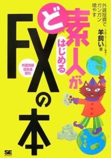 šۤǿͤϤFX(ؾڵ): ǥ󥬥䤹