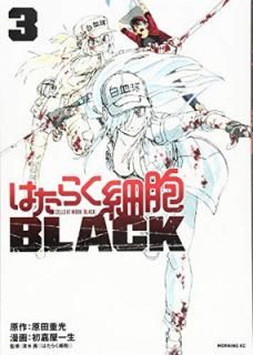 šۤϤ餯˦BLACK(3) (⡼˥KC)