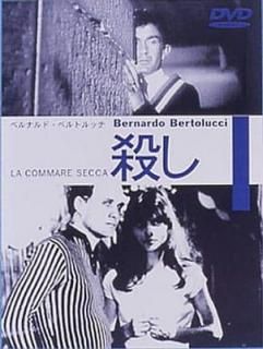 šۻ [DVD]