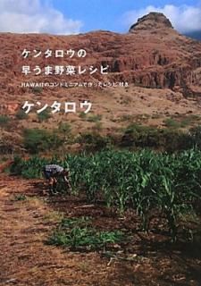 šۥ󥿥ᤦڥ쥷: HawaiiΥɥߥ˥Ǻä쥷դ