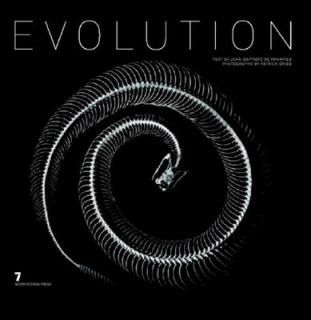 šEvolution