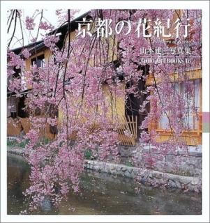 š۵Ԥβֵ: ܷ̿8 (TOHO ART BOOKS 16)