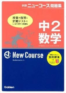 š2 (ظ˥--꽸)