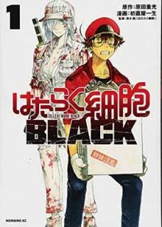šۤϤ餯˦BLACK(1) (⡼˥ KC)