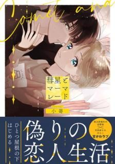 šȥޡޥ졼 (륷COMICS)