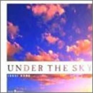 šUNDER THE SKY