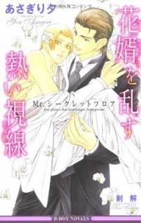 š۲̻ǮMr.åȥե (ӡܡΥ٥륺) (B-BOY NOVELS)