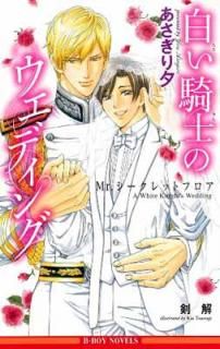 š򤤵ΤΥǥ ~Mr.åȥե~ (ӡܡΥ٥륺) (B-BOY NOVELS)