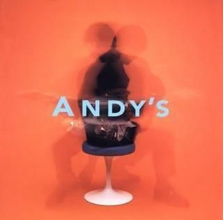 šANDYS