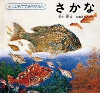 šۤ (ϤƤǤ 4