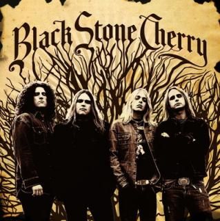 šBlack Stone Cherry