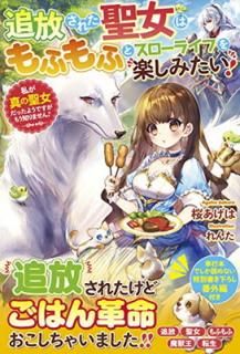 š줿Ϥդդȥ饤դڤߤ! ~䤬ä褦Ǥ⤦Τޤ! (٥꡼ե󥿥)