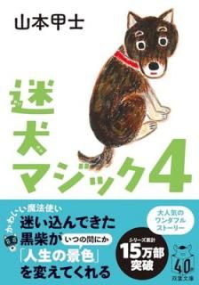 š¸ޥå (ʸ  26-12)