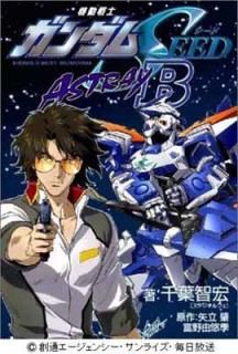 š۵ưΥSEED ASTRAY B