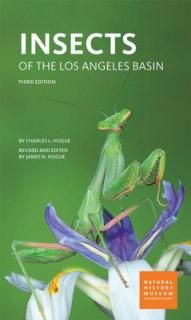 šInsects of the Los Angeles Basin