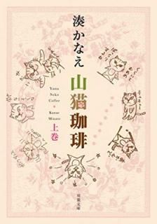 šۻǭ 崬 (ʸ)