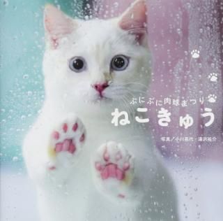 šۤפˤפޤĤ ͤ夦