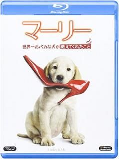 šۥޡ꡼ 줪ХʸƤ줿 [Blu-ray]