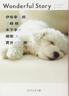 šWonderful Story(ե륹ȡ꡼) (PHPʸʸ)