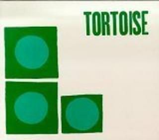 šTortoise