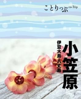 šۤȤä ޸ Ʀ硦Ȭ (ιԥ)
