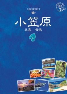 š08 ϵ⤭JAPAN ι ޸  
